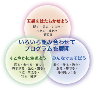 「五感を働かせよう」聞く、見る、におう、さわる、味わう、感じる
「すこやかに生きよう」眠る、食べる、育つ、呼吸する、住む、着る、学ぶ、考える、守る
「みんなとあそぼう」動く、作る、歌う、踊る、奏でる、仲間をつくる
という３つのコンセプトをもとに、子ども、大人、ファミリー向けの運動教室や、指導者やボランティアをあべる育てる勉強会や講習会の開催などの事業を行っています。
